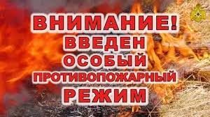 29 июля 2022 года, на территории Ханты-Мансийского автономного округа – Югры введен особый противопожарный режим
